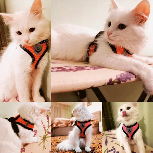 Adjustable Mesh Cat Harness