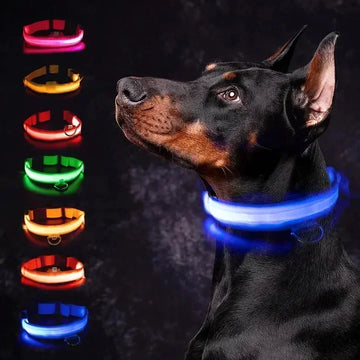 LED Glowing Dog Collar - Rechargeable