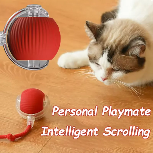 Interactive Automatic Cat Ball Toy
