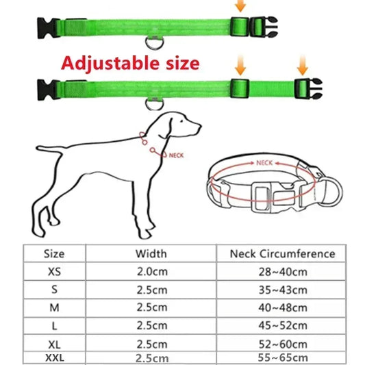 LED Glowing Dog Collar - Rechargeable
